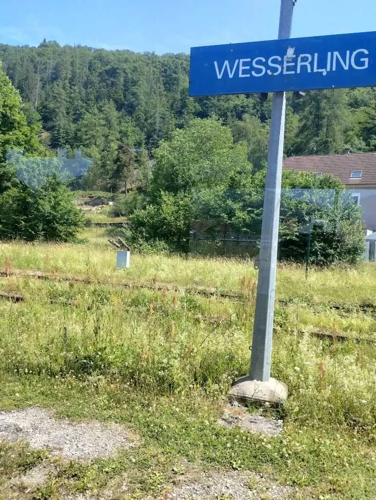 Komplett verwachsenes Perron, ein Masten mit Bahnhofsschild mit Beschriftung "Wesserling".