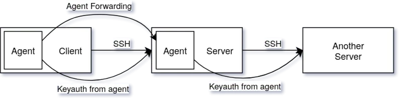 SSH Agent loads key into RAM, later usage without passphrase. "-A" will forward agent socket to remote server. remote server/user(s) can use keys loaded in your local agent (!)