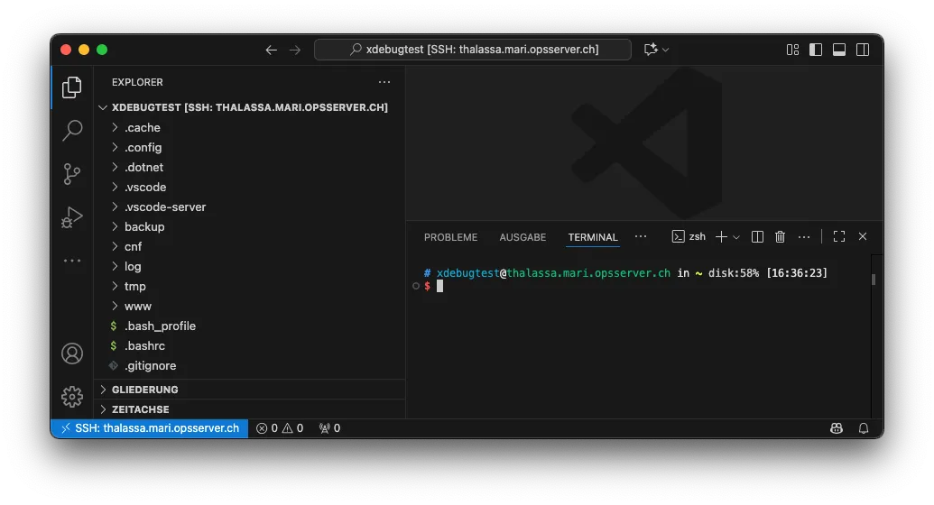 Screenshot: Microsoft-Code mit Remote SSH. Auf der linken Seite ist die Dateistruktur unseres Projekts auf dem Server sichtbar.